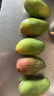 【双11抢购】玉芒芒果新鲜水果应当季生鲜 带箱4斤 大果【单果200-400g】 实拍图