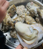 老蟹将 鲜活乳山生蚝 生态水域现捞牡蛎特大刺身级品质烧烤食材年货送礼 5XL 5斤(包活到家) 实拍图