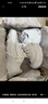 斯凯奇（Skechers）女鞋夏季厚底老爹鞋百搭透气熊猫鞋软底舒适外穿休闲运动鞋11959 实拍图