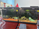 摩动（modong）纯钛内胆便携式电热水壶烧水杯电热水杯烧水壶650ml泡奶旅行商务出差养生杯加热杯 MD-DSB02B 实拍图