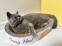 疯狂的主人猫抓板窝特大号猫玩具猫爪板猫抓盆不掉屑猫窝椭圆形瓦楞纸 实拍图