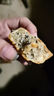 广式月饼莲蓉蛋黄老五仁100g豆沙蛋黄椰蓉味老式月饼中秋节礼品 单口味 100g 2个装 椰蓉蛋黄 实拍图