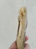 赶海弟【潍坊产地】逛鱼干片500g 胶东特产海鱼干 小咸鱼 源头直发包邮 实拍图