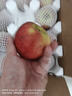 现摘当季云南昭通野生丑苹果冰糖心苹果水果新鲜脆甜大果5/10斤 中果70mm-75mm脆甜 5斤 晒单实拍图