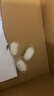 沃绣 蚕宝宝当天发货 蚕宝宝活体蚕卵小蚕彩色蚕桑叶新鲜桑叶养蚕套装 2龄蚕宝宝50条+透气盒+桑叶 实拍图