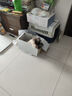 卫仕营养膏120g*4 宠物狗狗猫咪幼犬营养膏微量元素维生素鱼油怀孕金毛泰迪 犬猫通用 实拍图