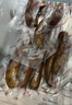秋林里道斯 中华老字号 哈尔滨红肠礼盒装2.08kg 东北特产 端午礼盒 实拍图