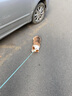麦富迪狗粮 藻趣儿2.5kg 成犬中大型小型犬通用（牛肉螺旋藻）金毛泰迪 实拍图