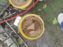 漫生活650g*3块椰糠砖椰砖椰土砖营养土通用种菜养花土壤花卉绿植脱盐 实拍图