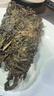 久扬 富硒金花黑茶1kg红运春尖茯茶湖南安化2016年黑毛茶手筑茯砖茶叶 实拍图