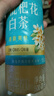 三得利（Suntory）【新品上市】清新柔和 枇杷花白茶 0糖0脂0能量 500ml*15 实拍图