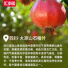 汇多滋甄蔬甄果100%纯果汁100%石榴汁 NFC果汁饮料 送礼玻璃瓶325ml*6瓶 实拍图