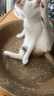 疯狂的主人圆形猫抓板窝耐磨不掉屑猫窝一体猫咪抓盆超大号抓不烂猫爪板耐抓 实拍图