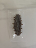 辽参大连有机冷冻海参1斤10-12只非即食京东自营旗舰店独立包装正品 实拍图