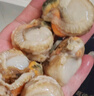 初鲜大号冷冻带黄扇贝肉净重2斤约80-120颗烧烤火锅食材海鲜水产聚餐 实拍图