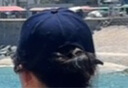 俞兆林韩版棒球帽女夏季父亲节礼物大头围显脸小鸭舌帽男防晒帽遮阳帽男 实拍图