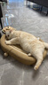 珍宠星球剑麻猫抓板耐磨不掉屑耐抓全剑麻猫爪板猫窝一体猫咪磨爪板超大号 实拍图