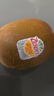 佳沛（zespri）新西兰  阳光金奇异果18粒礼盒优选果单果约101-124g 猕猴桃水果 实拍图