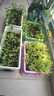 史丹利种菜专用土营养土阳台种菜泥炭有机土家用土壤蔬菜种土种植土10L 实拍图