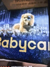 babycare皇室狮子王国弱酸纸尿裤加大号XL36片(12-17kg)婴儿尿不湿亲肤 实拍图