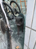 LEGENDSANDY蓝氏全价猫粮生鲜高能系列成猫幼猫 试用 试吃 猎鸟乳鸽 0.05kg 实拍图