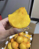 什谷丰冬桃脆甜桃鲜桃子当季新鲜脆桃软桃生鲜水果 5斤 （单果约120-150g） 实拍图