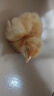 小鸡活宠物小鸡活苗家养观赏小黄鸡网红萌宠鸡活体幼崽迷你鸡幼苗 宠物小黄鸡3只 实拍图