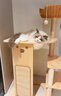 派阿哥松木全实木剑麻太空舱仿藤编猫爬架猫窝一体猫抓柱猫玩具小户型 实拍图