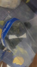 真维斯（JEANSWEST）休闲裤男夏季薄款西裤男士长裤冰丝裤凉感男生宽松直筒运动九分裤 晒单实拍图