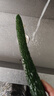 水星（MERCURY）2.5G智能网管交换机 4*2.5G+2*万兆光口 VLAN划分 端口汇聚 搭配NAS光猫 SE106 Pro 实拍图