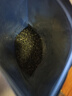 陈一凡 茶叶 高山云雾绿茶 2024新茶雨前春茶茶叶散装250g 【自饮白带装云雾绿茶250g】 实拍图