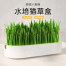 疯狂的主人猫草+10袋小麦种子盆栽无土水培薄荷去化毛球助排毛猫咪零食成幼 实拍图