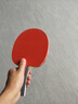 红双喜乒乓球拍专业级成人横拍小学生初学者儿童兵兵乓球拍子成品拍 黑柄初学双拍【横拍+横拍】 实拍图