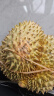 佳沛（zespri）新西兰 金果12粒猕猴桃礼盒特大果单果约122-146g 端午节水果礼盒 实拍图