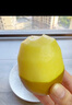 佳沛（zespri）新西兰阳光金奇异果 8个装 特大果单果重约122-146g 水果猕猴桃 实拍图