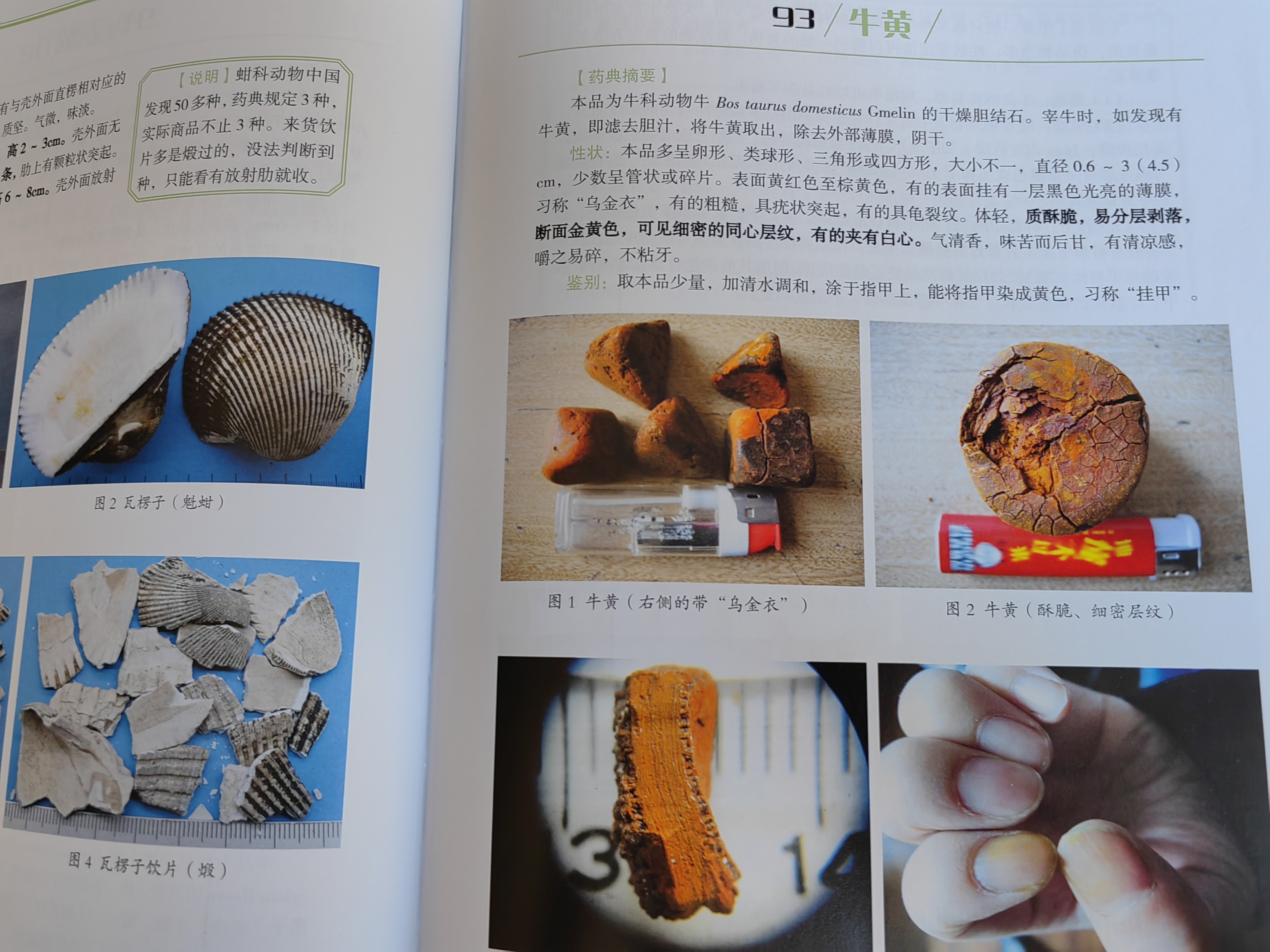 饮片验收经验 王满恩 赵昌 山西科学技术出版社 医药卫生临床医学类书籍 正版书籍 凤凰新华书店旗舰店 晒单实拍图