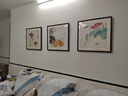 紫腾随轩齐白石装饰画新中式客厅背景墙面挂画卧室饭厅餐厅水墨虾壁画 荷花A款 60*60cm红木色实木框 实拍图