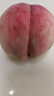 卡乐比（Calbee）即食燕麦片 原味水果麦片600g 日本进口非油炸 早餐零食冲饮代餐 实拍图
