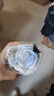 迷你口袋见面小花束玫瑰向日葵永生花仿真花伴手礼生日女神节礼物 小花束-白色+蓝玫瑰 1支 实拍图