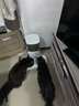 霍曼（Homerun）宠物智能自动喂食器猫粮狗粮定时猫咪自动投食机不锈钢双碗增高版 实拍图