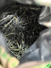 乐品乐茶茶叶绿茶特级毛尖2025新茶明前春茶嫩芽散装自己喝京东自营250g 实拍图