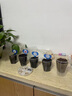 IAM City Farmer科学种植实验盒 小学生科学diy盆栽组合 植物观察窗暑假礼物10030 实拍图