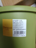 爱丽思（IRIS）Deepot花盆加厚树脂控根圆口绿萝绣球蔷薇月季塑料花盆 5号浅绿色(口径约17cm)无盆托 实拍图