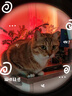 麦富迪 猫条 成猫幼猫咪猫湿粮猫零食猫条三文鱼味14g*5 实拍图