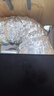 普湃（PURPAVWINNER）加厚铝箔烟管抽油烟机出风口径160mm排烟管烟囱烟道软管出风管伸缩吸油烟机管子2米 实拍图
