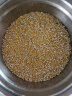 塞翁福 每日谷物五品粥500g 杂粮米 混合粥米 养生粥料 大米伴侣 实拍图