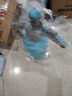 农宝喷壶浇花气压式喷水壶家用小型喷雾器园艺高压消毒清洁打农药 2L 实拍图