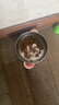 疯狂小狗狗粮小型犬幼犬成犬比熊柯基泰迪肉粒双拼粮去泪痕5kg10斤 实拍图
