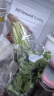 带根香菜100g 实拍图