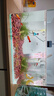 尼奥光 NEO-HELIOS鱼缸灯水草灯LED灯S3proRGB植物光谱 13W新款尼奥S3pro+【高亮自然版双倍亮度】 实拍图